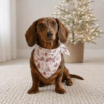 Christmas Tales Personalised Dog Bandana - €19.95 | Secure today with a €10 deposit | €9.95 due in October