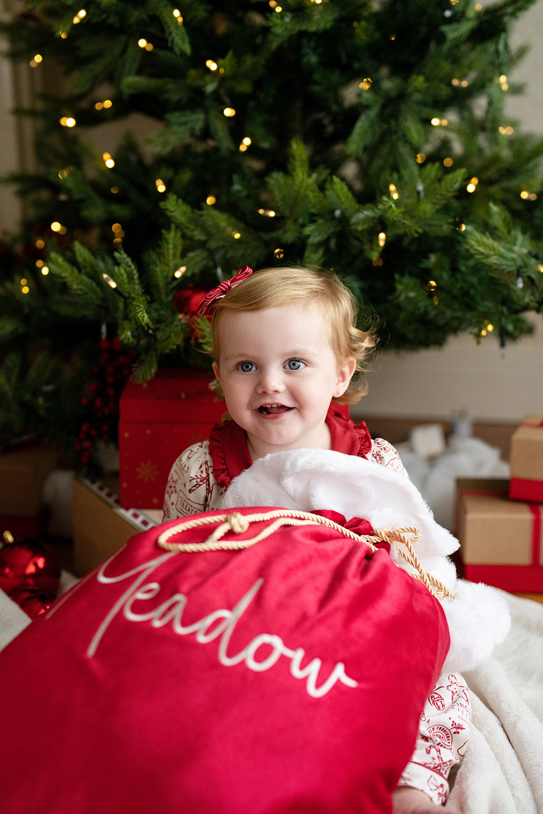 Red - Luxury Santa Sack