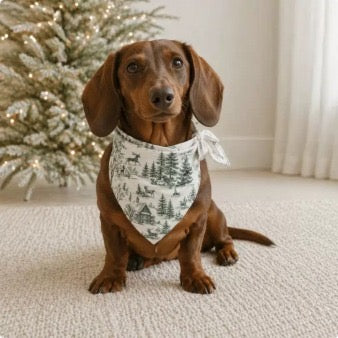 Christmas Forest Personalised Dog Bandana - €19.95 | Secure today with a €10 deposit | €9.95 due in October (Copy)