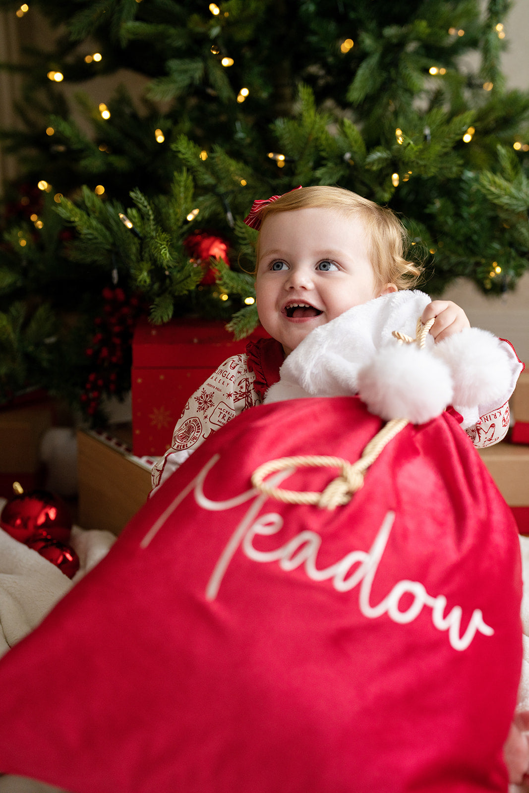 Red - Luxury Santa Sack